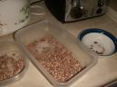 beans-1.JPG
