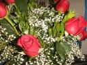 roses-2.JPG