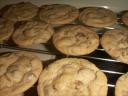 chocolatechip-1.JPG