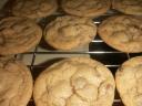 chocolatechip-2.JPG