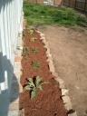 flowerbed-2.JPG